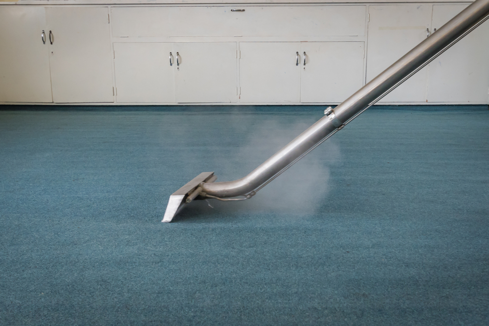 Carpet,Steam,Cleaning,-,Professional,Carpet,Cleaning,With,Wand