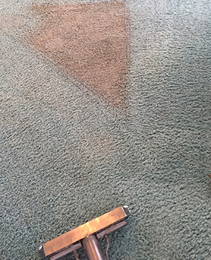 carpet clean